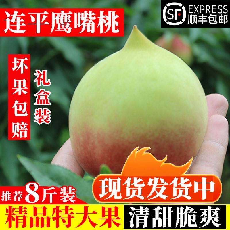 鹰嘴桃上坪连平正宗蜜桃