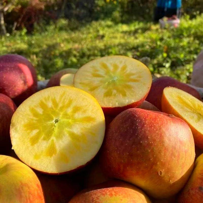 新疆阿克苏冰糖心苹果正宗特级大果当季水果整箱10红旗坡平果顺丰