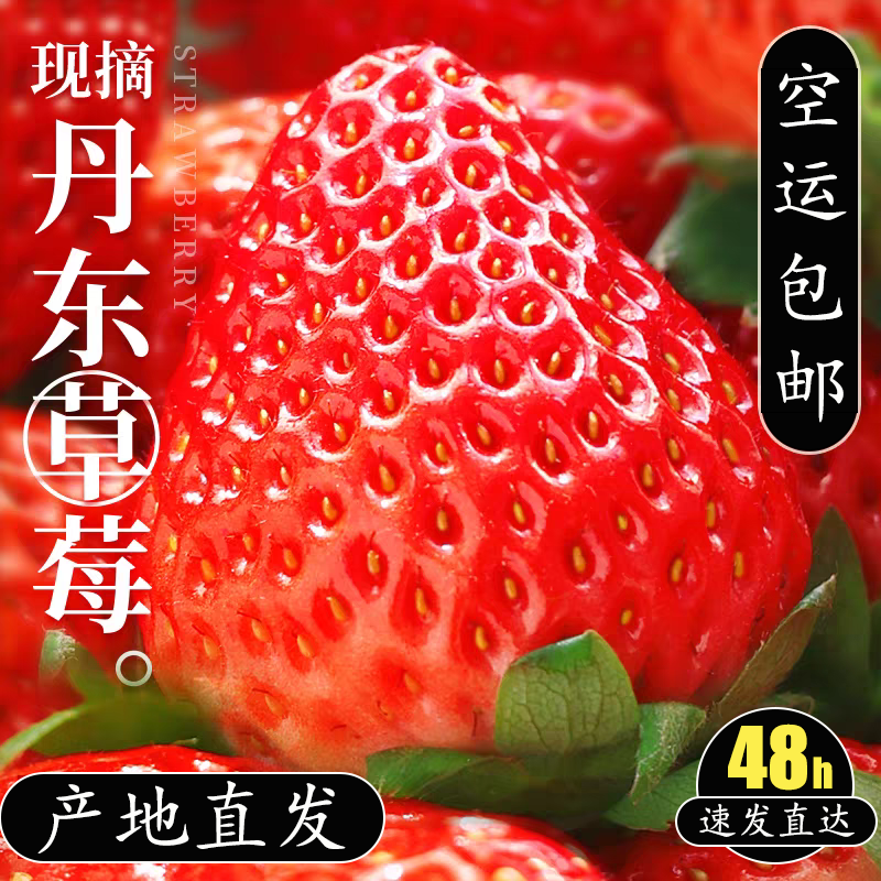 正宗丹东东港红颜草莓当季新鲜水果现摘礼盒装孕妇应季水果空运