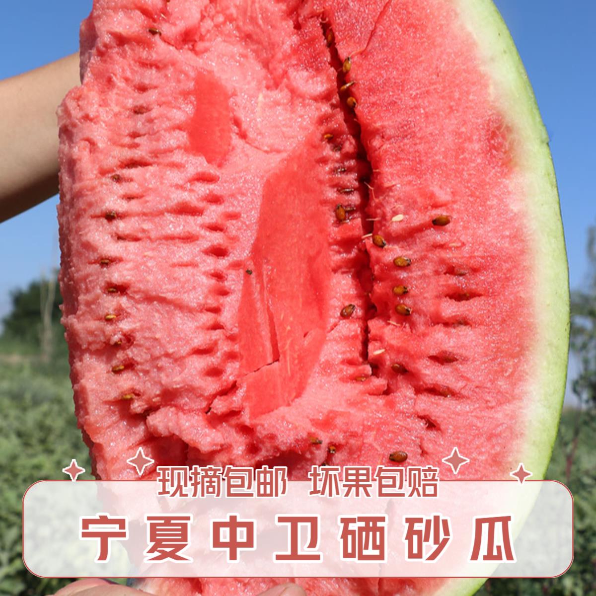 【正宗】宁夏中卫硒砂瓜