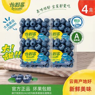 【种地吧同款】Driscoll's怡颗莓云南蓝莓鲜果中果125g/盒新鲜