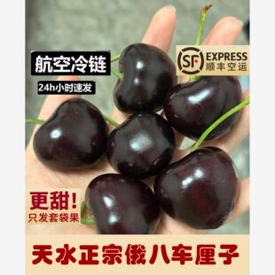 天水正宗【俄八】大樱桃顺丰空运新鲜现摘孕妇水果车厘子端午送礼