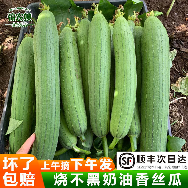 苏北农家奶油香丝新鲜现