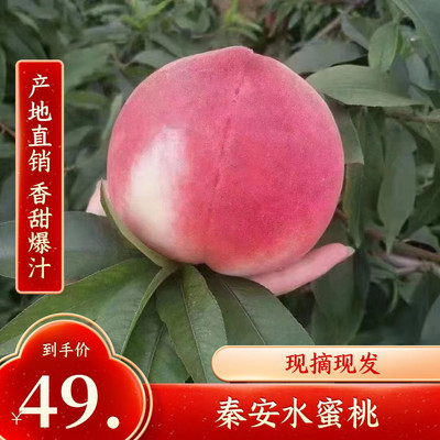甘肃秦安水蜜桃子新鲜水