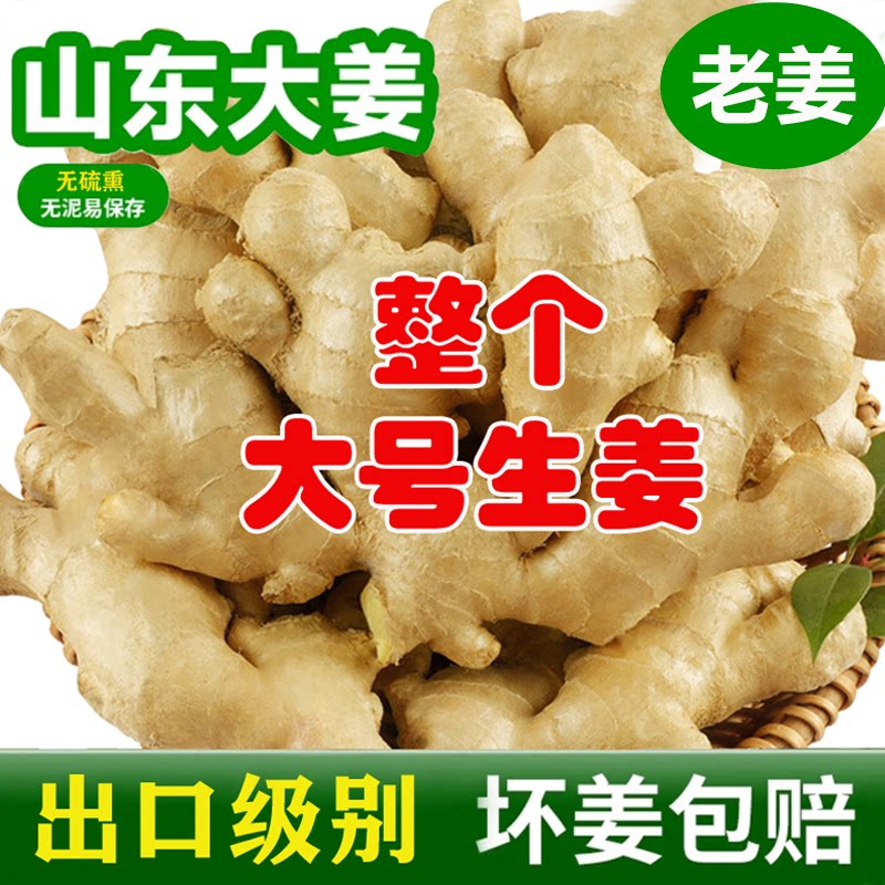 生姜老姜新鲜有机山东大