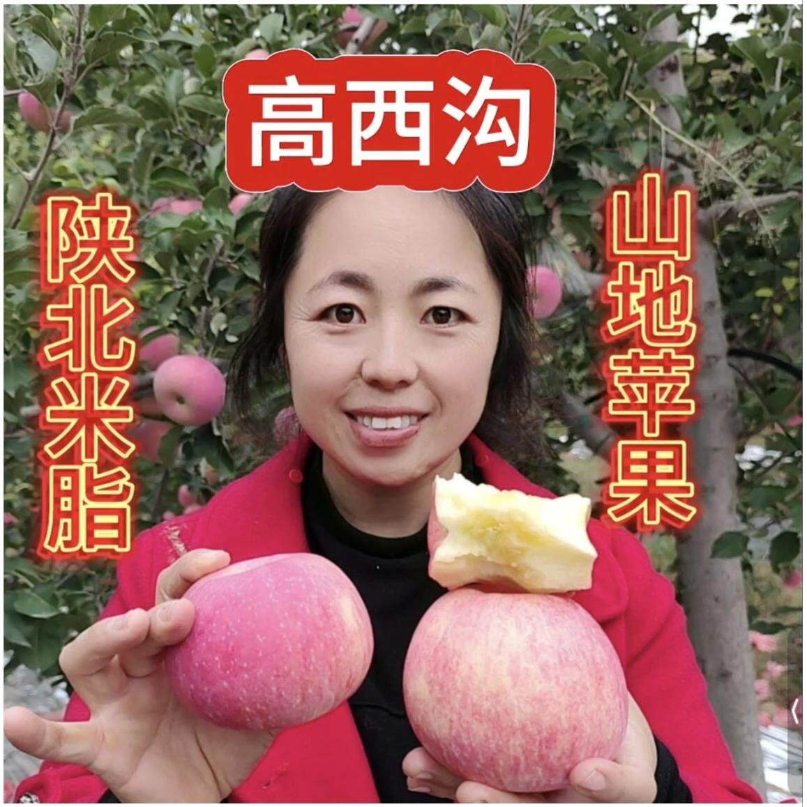 陜北米脂高西沟山地苹果