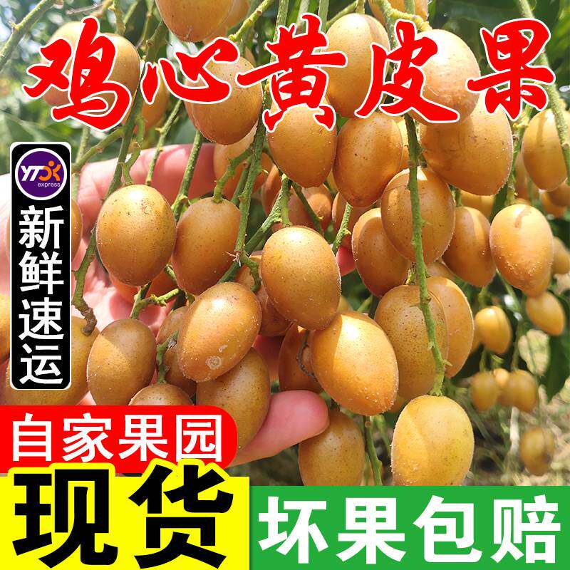 顺丰新鲜鸡心黄皮果冰糖