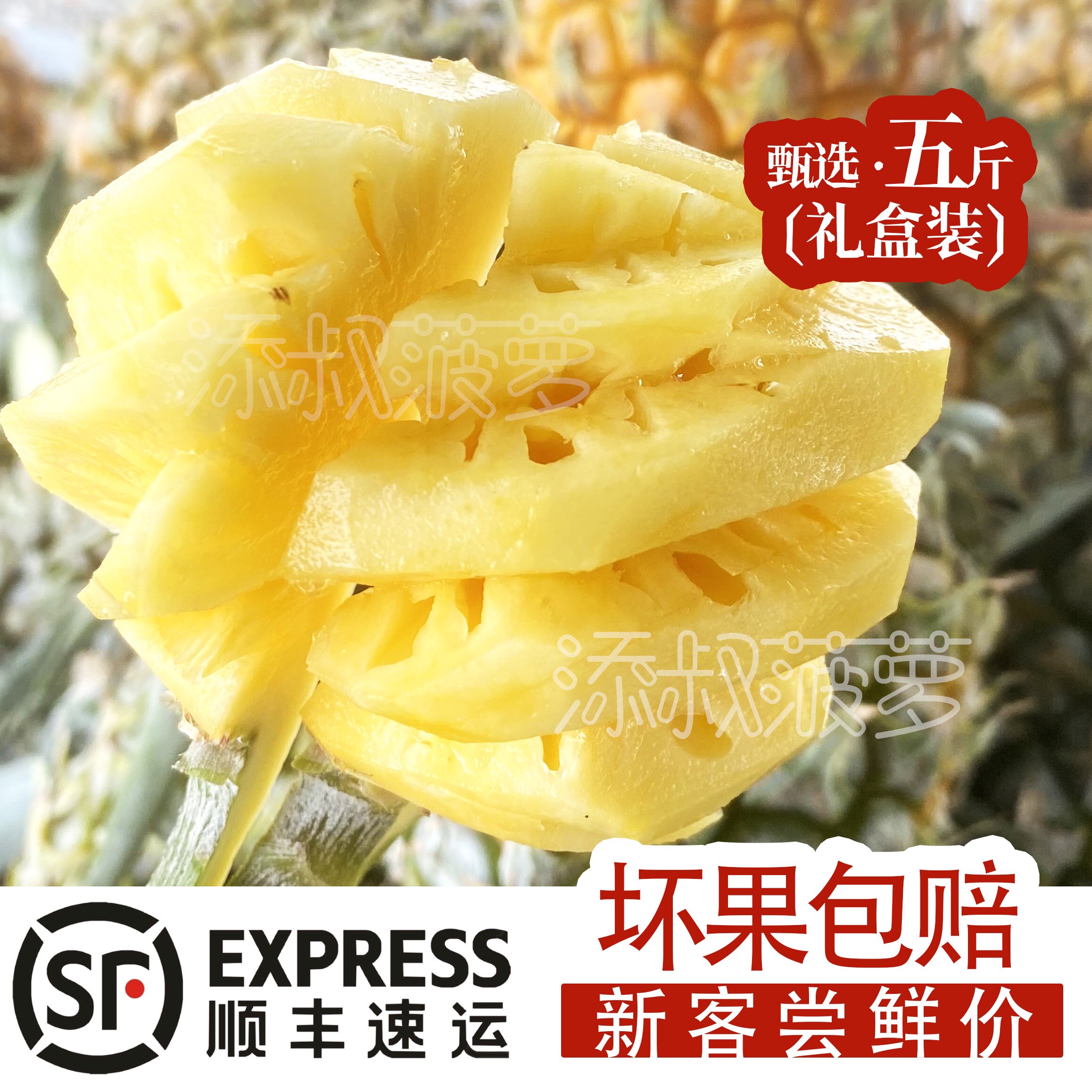 特级正宗中山神湾菠萝五