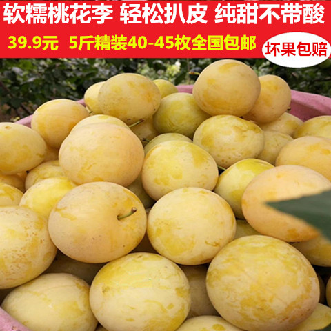现货四川李子黄金桃花柰