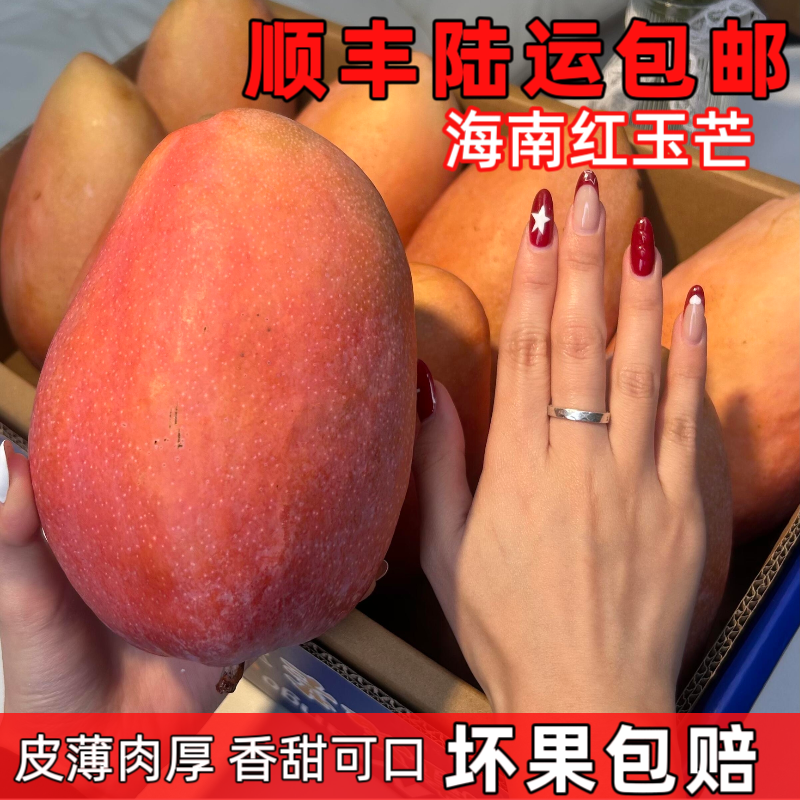 海南红玉芒顺丰陆运包邮