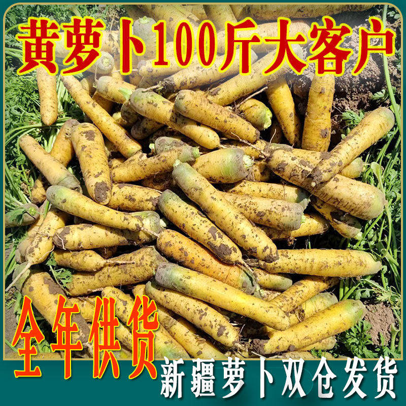 新疆抓饭黄萝卜冰糖心新