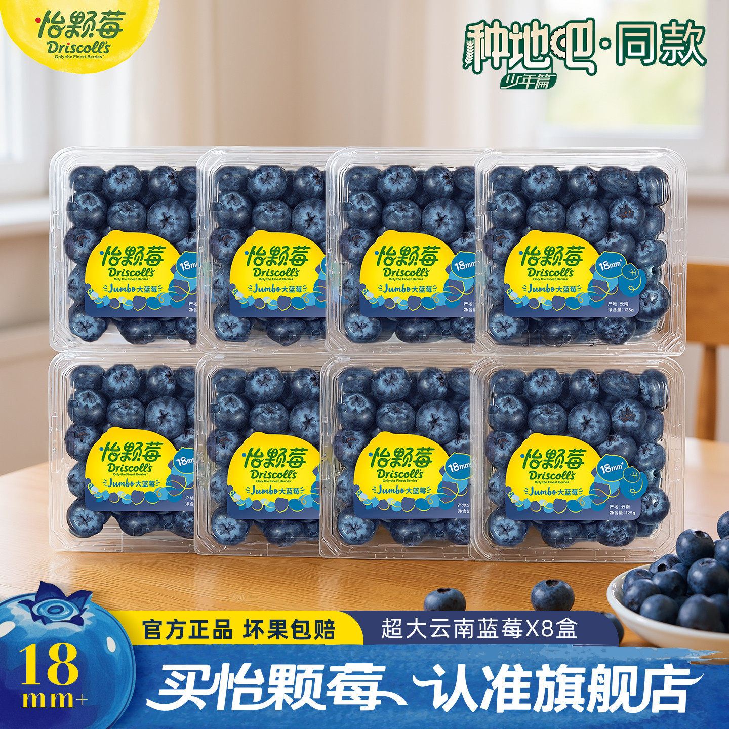 【种地吧同款】云南酸甜蓝莓鲜果蓝莓新鲜水果大果125g/盒