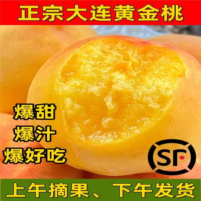 黄桃大连黄金桃芒果心油