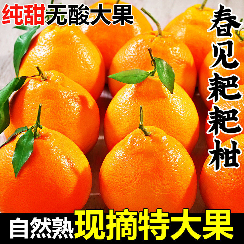 正宗四川春见耙耙柑10斤桔子新鲜水果当季整箱粑粑柑橘子丑桔包邮,包装,水果包装,淘宝优惠券,粉丝福利购,淘宝优惠卷