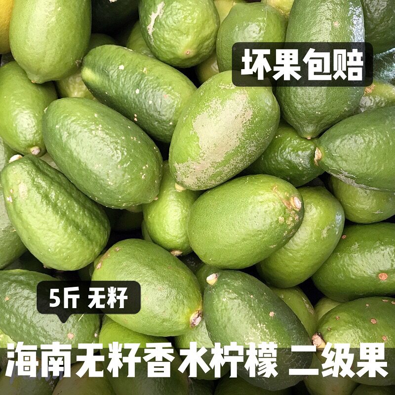 海南无籽香水柠檬新鲜