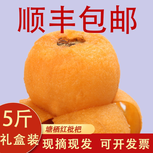 正宗杭州塘栖枇杷5斤红毛