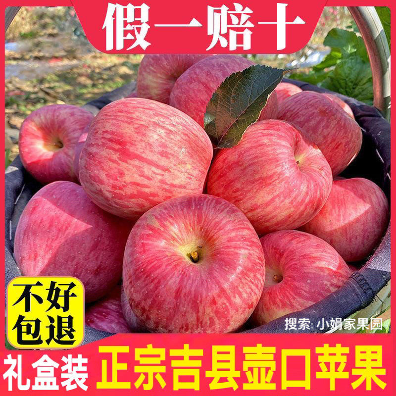 【头茬新苹果】正宗山西