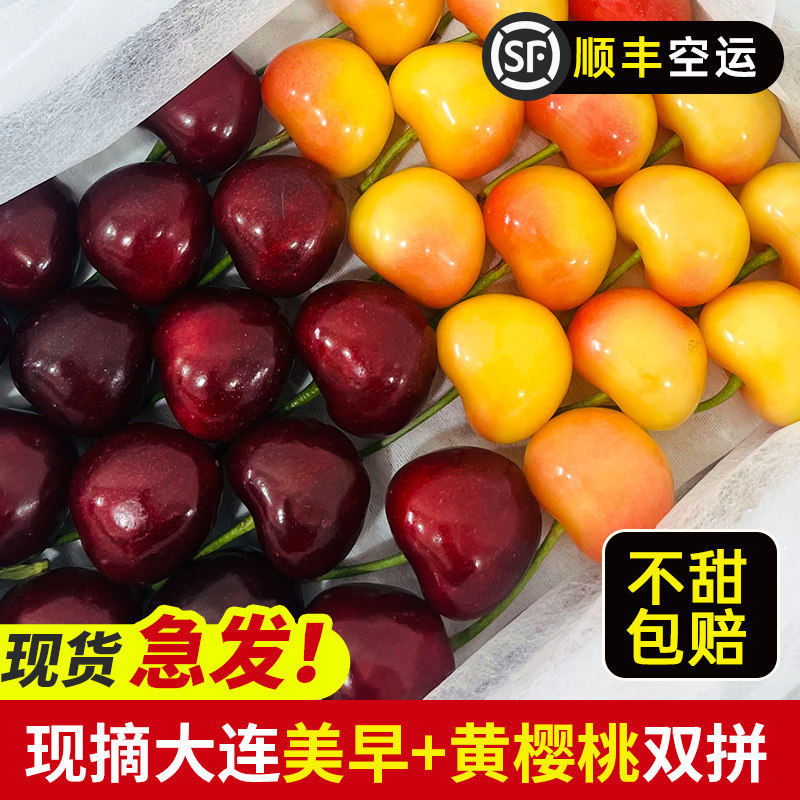 顺丰包邮现摘大连美早佳红双拼混合黄金果大樱桃脆甜礼盒装