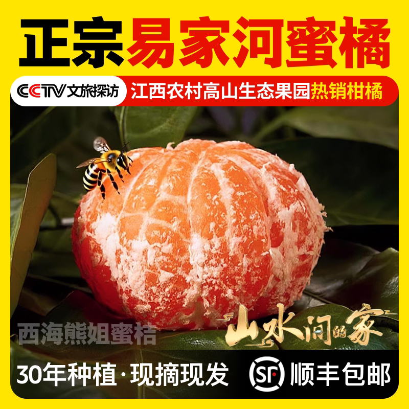 正宗庐山西海易家河当季新鲜蜜桔现摘桔子非涌泉蜜橘包邮坏果包赔