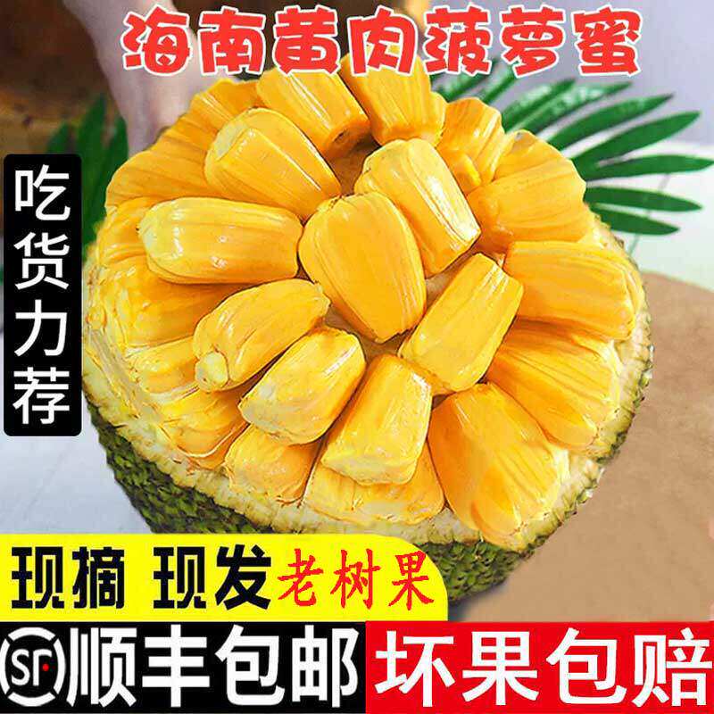 海南菠萝蜜新鲜水果一整