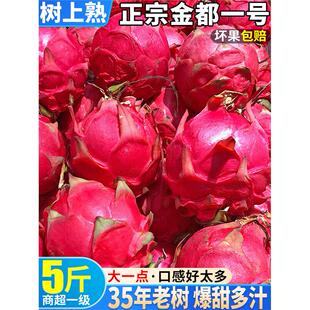 顺丰广西金都一号红心火龙果新鲜10斤水果特大果礼盒当季整箱包邮
