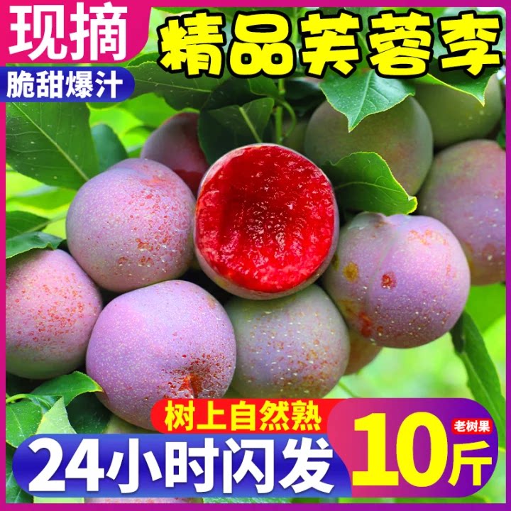 福建古田10斤芙蓉李子新