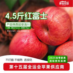 青怡陕西洛川苹果25年当