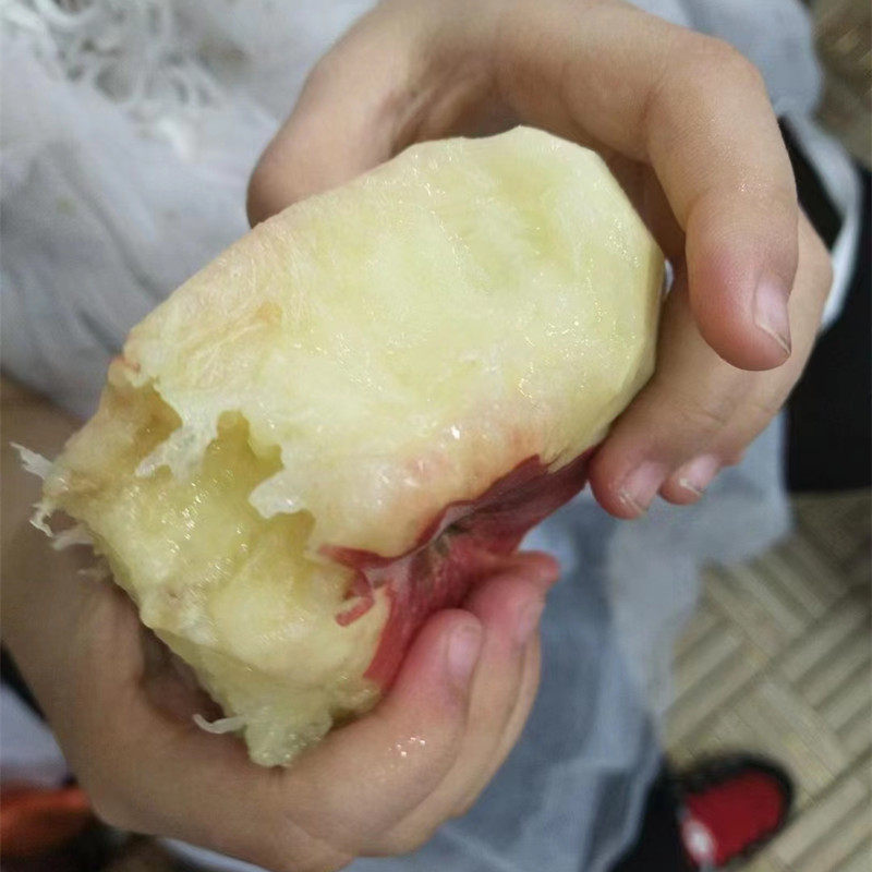 现货北京蟠桃水果新鲜扁
