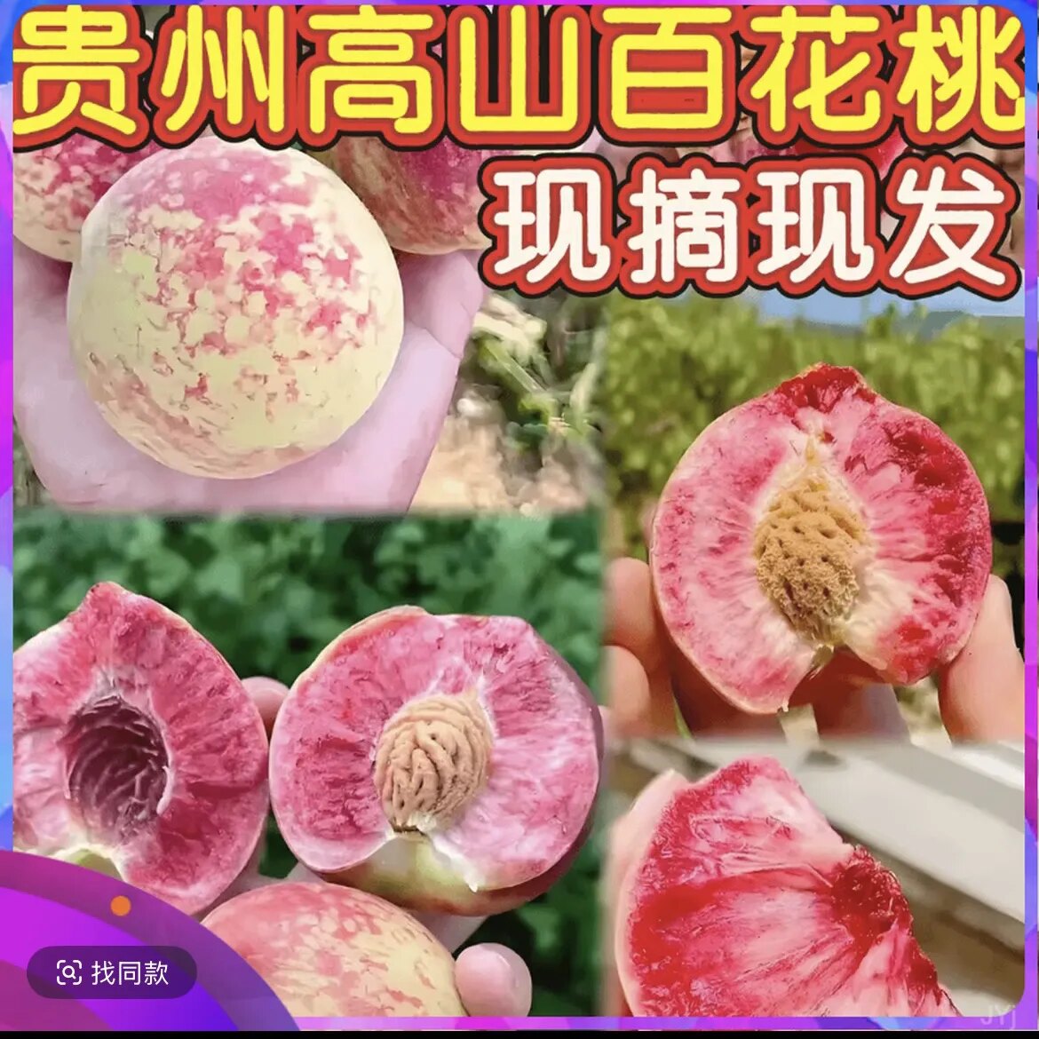 【现摘现发】新鲜贵州百
