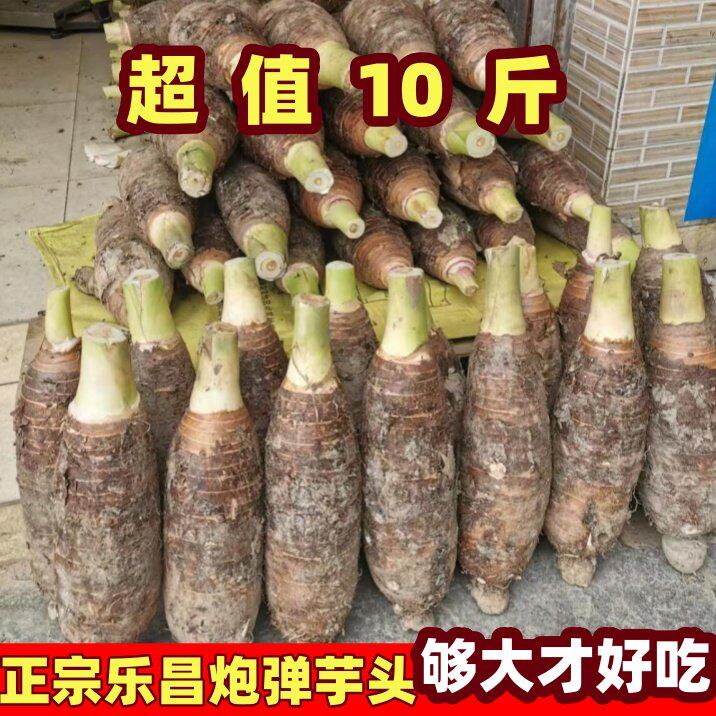 乐昌张溪香芋炮弹芋头农家自种新鲜现挖绿色广东韶关土特产大粉糯