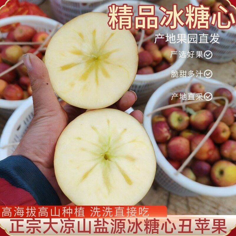丑苹果冰糖心2025四川大凉山盐源新鲜现摘整箱当季水果野生苹果