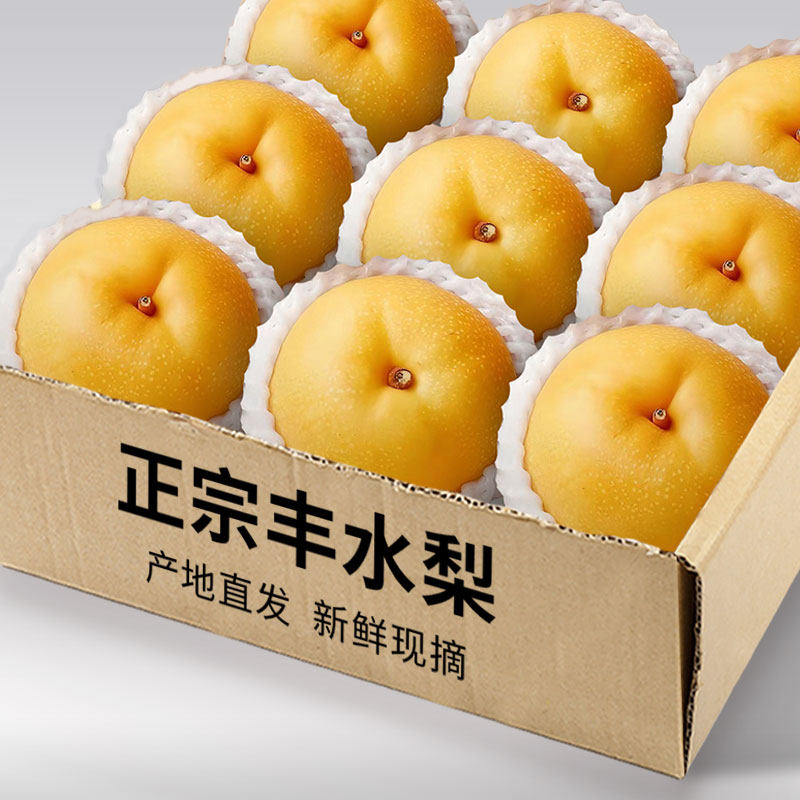 正宗山东丰水梨水果梨子