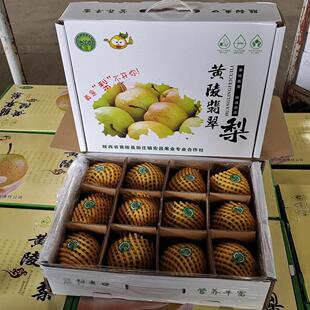 黄陵翡翠梨新鲜梨子产地田庄巨头直发90大果12颗装净重八斤包邮