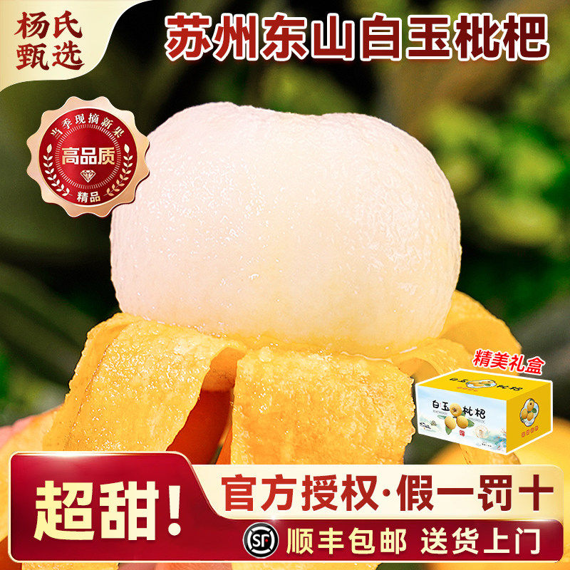 【炮头大果】苏州东山白玉枇杷5斤鲜果应季水果新鲜青种琵琶礼盒