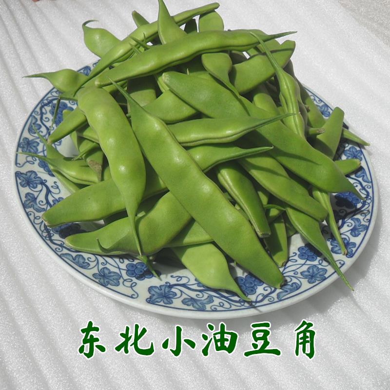 2026新鲜油豆角小黄金勾