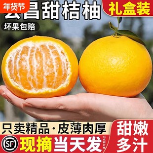 会昌桔柚新鲜水果非庆元建阳甜桔柚赣南现摘橘柑礼盒装纯甜年货节