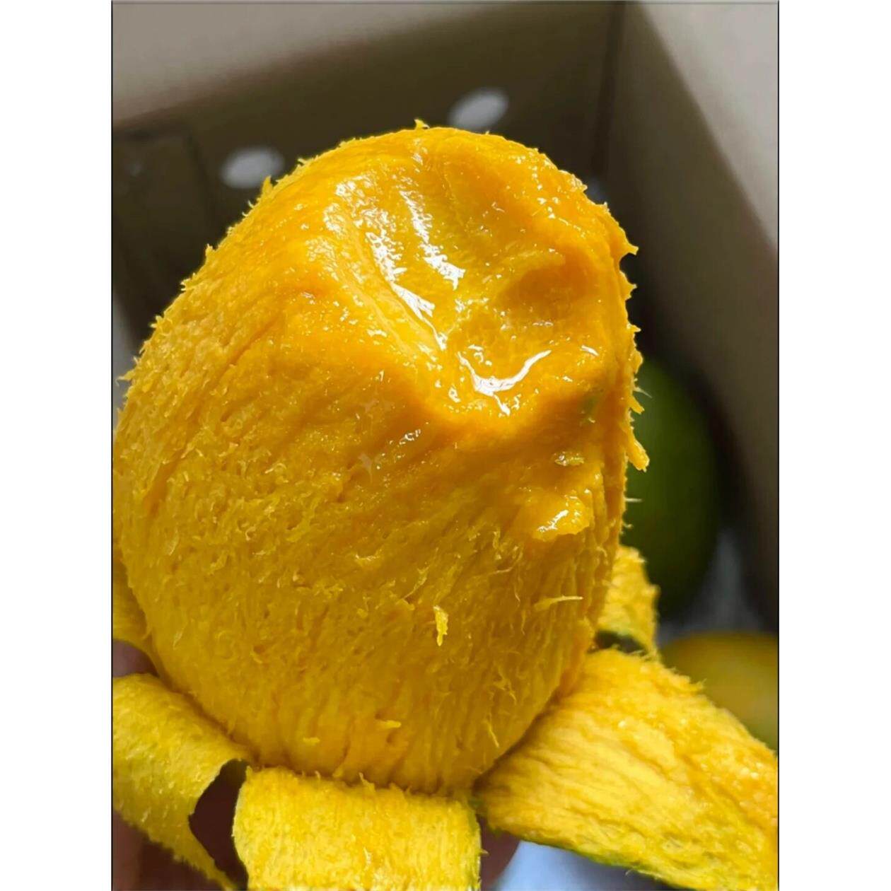 顺丰礼盒正宗广西金煌芒