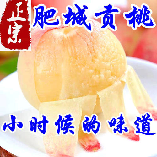 肥桃水蜜桃新鲜水果桃整