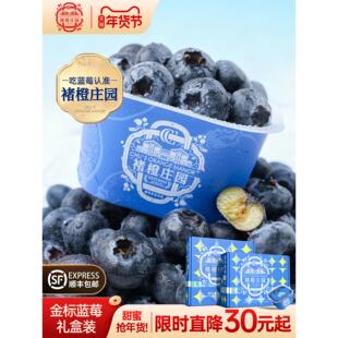 褚橙庄园蓝莓礼盒 鲜果花香大果脆甜新鲜高山水果当季现摘淘