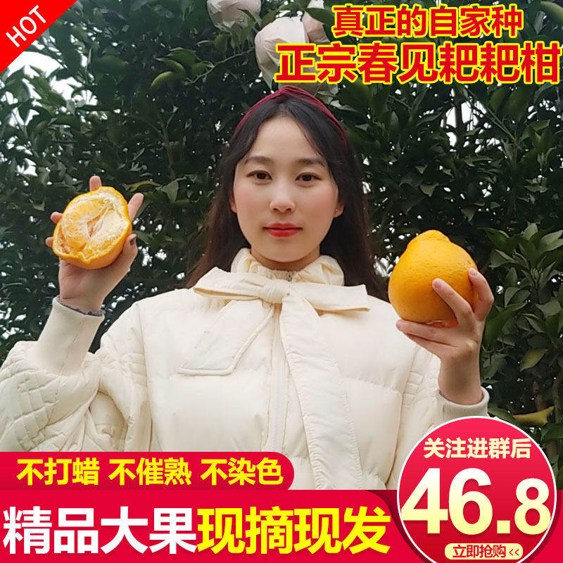 正宗四川眉山春见耙耙柑特级新鲜10斤杷杷粑粑柑当季橘子丑桔水果,包装,水果包装,淘宝优惠券,粉丝福利购,淘宝优惠卷