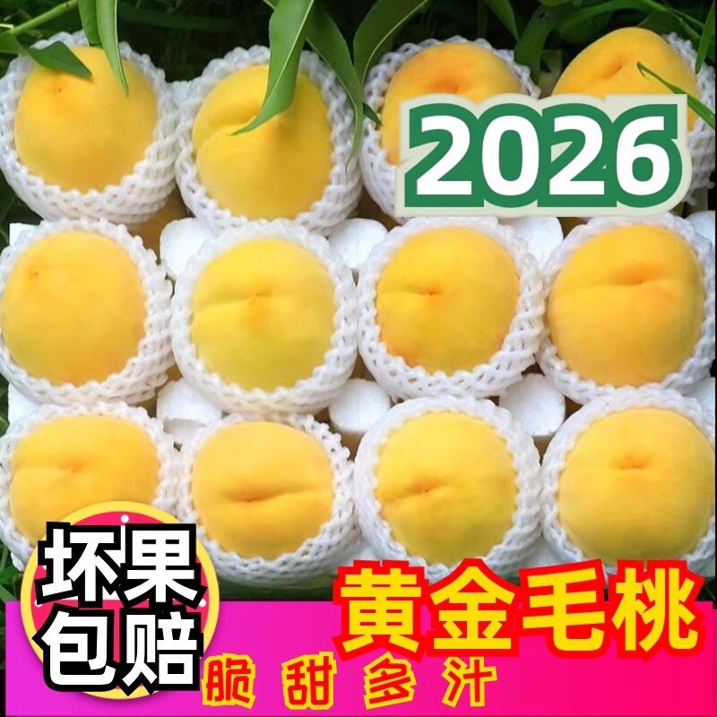 蒙阴黄毛桃新鲜当季现摘