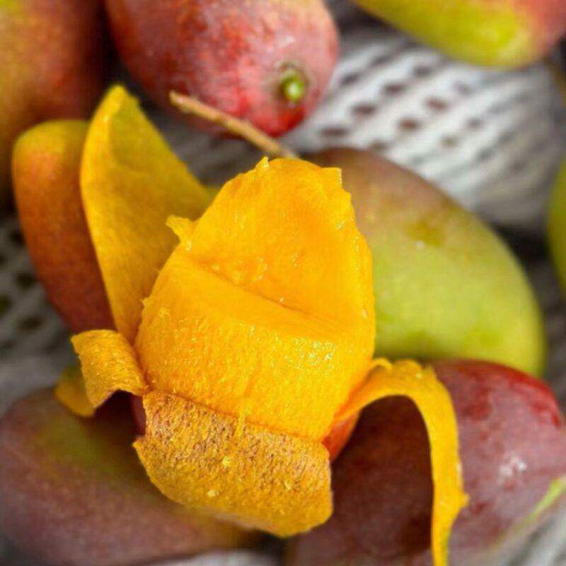 海南三亚贵妃芒新鲜当季水果芒果一口芒4斤礼盒顺丰北京发