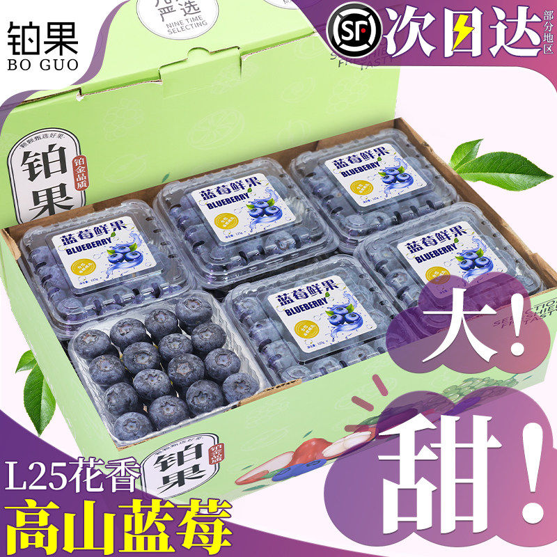 顺丰 高山蓝莓新鲜水果12盒L25花香特大莓果当季怡颗鲜果整箱包邮,包装,水果包装,淘宝优惠券,粉丝福利购,淘宝优惠卷