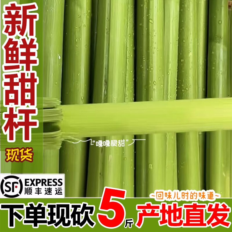 顺丰甜杆小甘蔗甜芦粟5斤