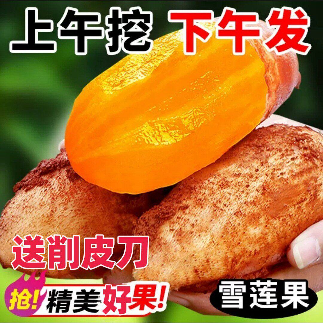 现货!云南天山雪莲果新鲜