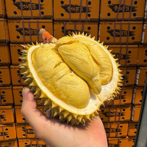 泰国黄记珑啦咧龙榴莲新