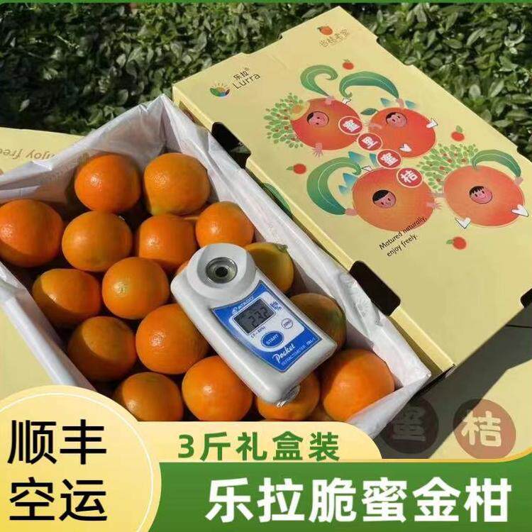 现货乐拉脆蜜金桔 蜜里蜜桔3斤礼盒装2A-6A大果特级金柑顺丰包邮