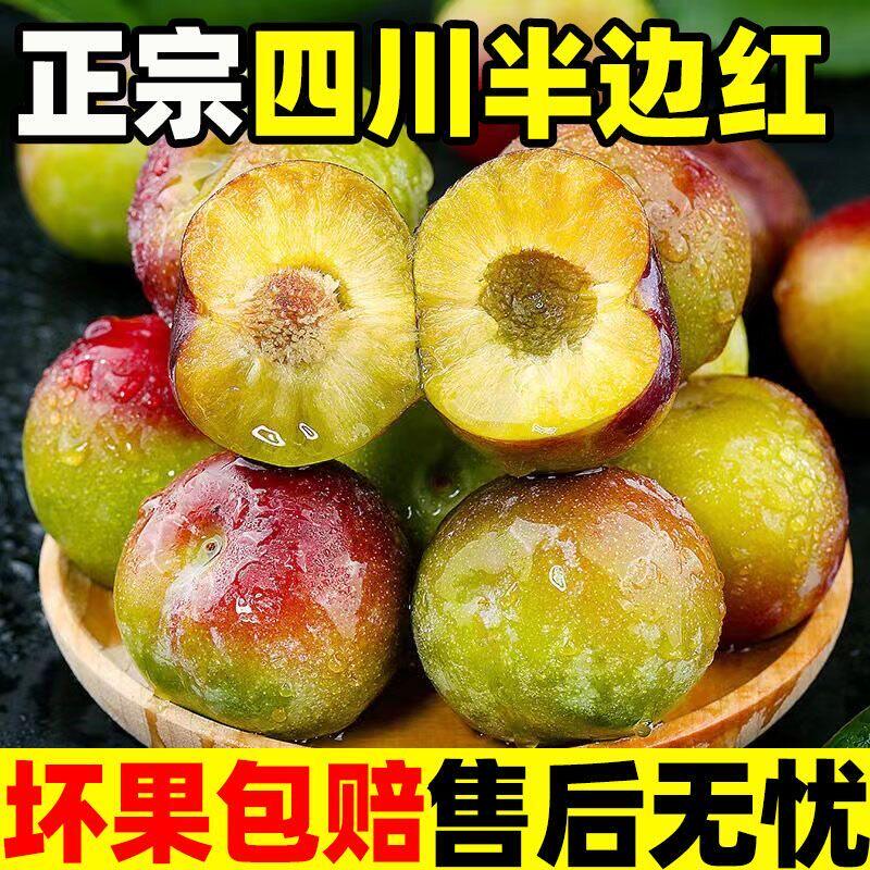 四川半边红脱骨李子脆应