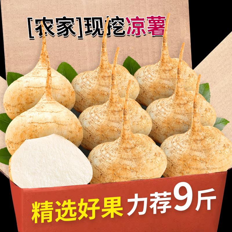 新鲜凉薯农家自种脆甜白