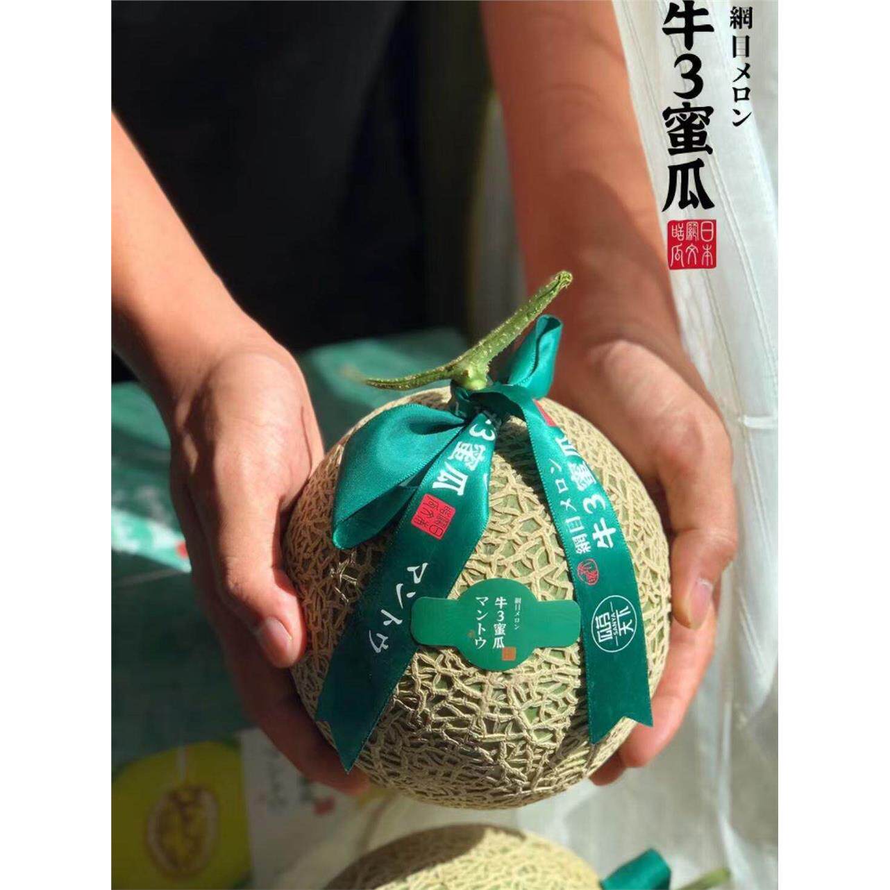 精品牛3蜜瓜新鲜现摘海